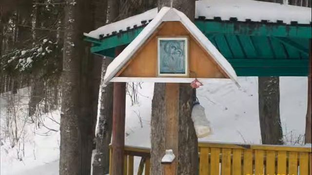 Живи Родник Зимняя версия смотреть онлайн
