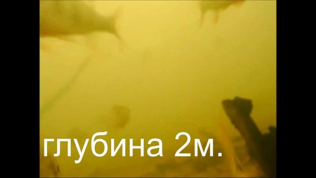 Камера для подводной съемки. Тест под водой. Цена 800 р. смотреть онлайн
