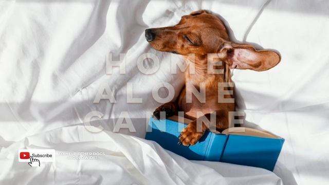 Natural CURE For Stressed DOGS Using Music! Scientifically Proven To Relax Your Canine!