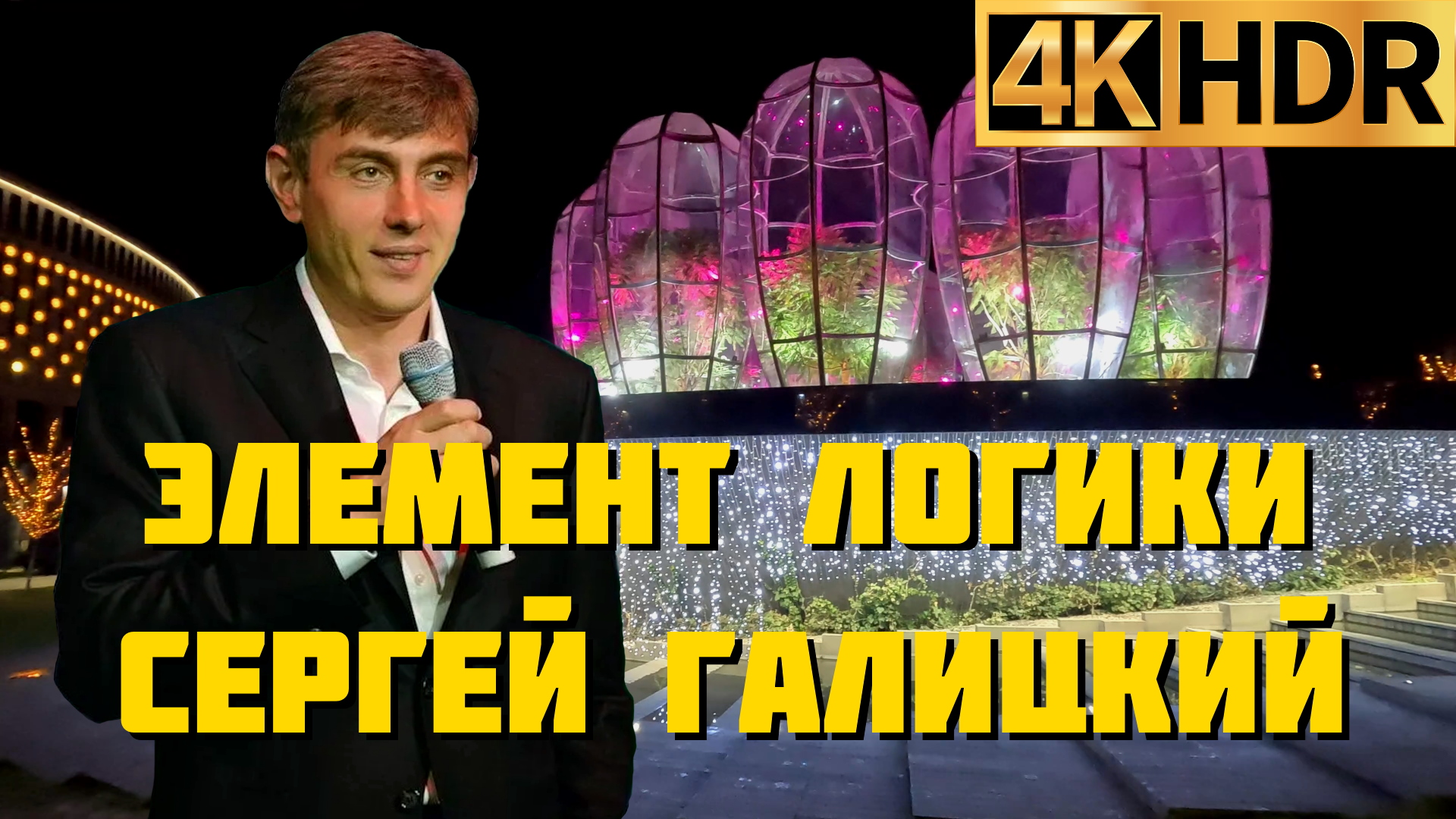 Сергей Галицкий | Элемент логики в жизни и бизнесе смотреть онлайн