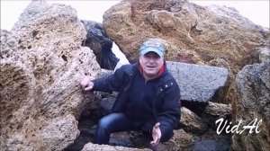 ПЕЧЕНОЧНЫЕ КОТЛЕТЫ В СЕТКЕ