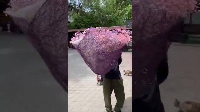 ЗАКАЗАТЬ БОЛЬШОЙ БУКЕТ С ГИПСОФИЛОЙ. ДОСТАВКА КРАСИВЫХ БУКЕТОВ ДНЕПР смотреть онлайн