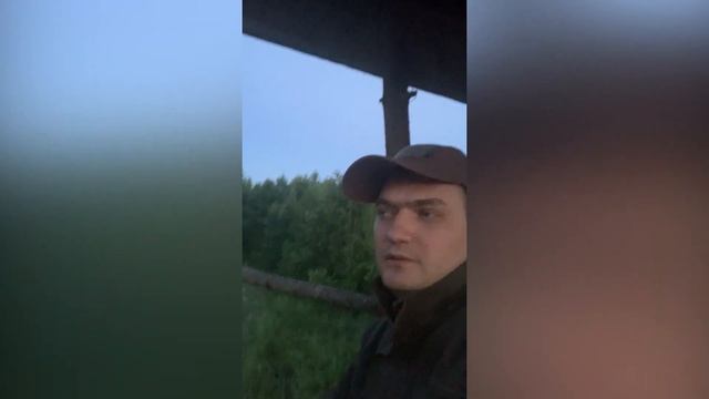 Охота на кабана с вышки. Тепловизор. смотреть онлайн