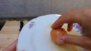 5 САМЫХ НЕРЕАЛЬНЫХ ГОМУНКУЛОВ