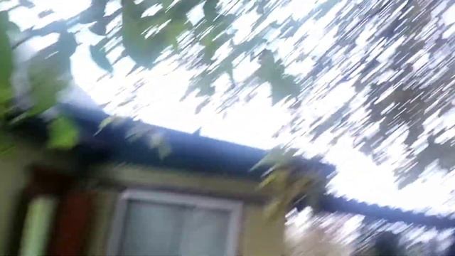 Бизнес на грецкий орехах. Сколько даёт одно взрослое дерево (наблюдение трёх лет) смотреть онлайн