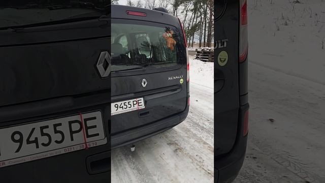 Продам RENAULT KANGOO PASSENGER 2013 року ( К9К , 1.5 DCI/ 66 кВт ) смотреть онлайн