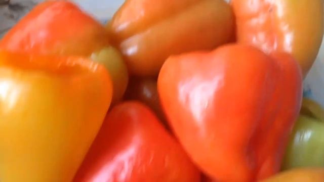 БОМБА !!! ФАРШИРОВАННЫЙ ПЕРЕЦ НА ЗИМУ !!! смотреть онлайн