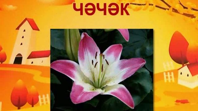 Дети изучают татарский язык - Балалар татарча өйрәнә. Әкият илендә. Передача 25 смотреть онлайн