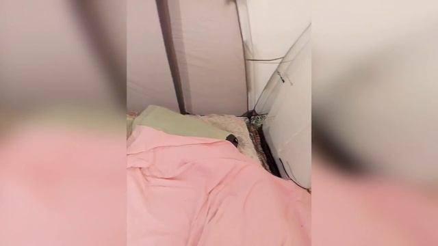 Кемпинг Радужный Палатки Море Июль 2018 смотреть онлайн