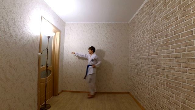 Что нужно для аттестации на ЖЕЛТЫЙ ПОЯС | Советы Taekwondo