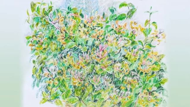2019.Подмосковье.Пейзажи, натюрморты, цветы. Масляная пастель. смотреть онлайн
