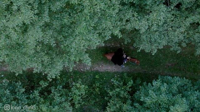 Абрек Зелимхан (Чтение развивает воображение) смотреть онлайн