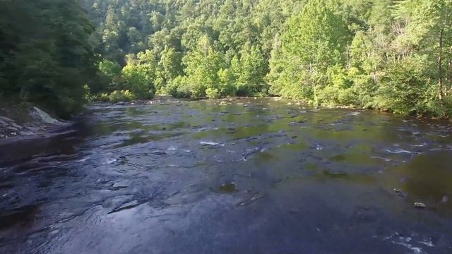 Chill Relaxed Music - Forest Chill, Ambient Forest, Medieval Folk, Relaxing (Flying) смотреть онлайн