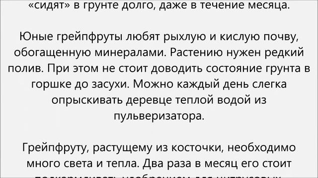 Как вырастить грейпфрут смотреть онлайн