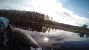 РЫБАЛКА НА ПОСТАВУШКИ! РЫБАЛКА НА КОСТРОМСКИХ РАЗЛИВАХ! ТРОЛЛИНГ ЩУКИ! РЫБАЛКА С ДЯДЕЙ ГАРИКОМ!