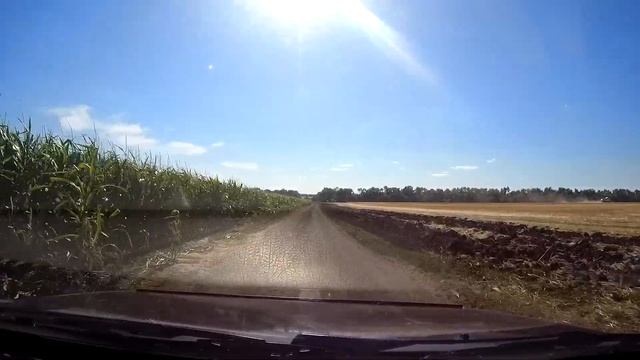 Рыбная Мозаика