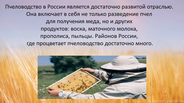 Видеопрезентация «Животноводство на селе» смотреть онлайн