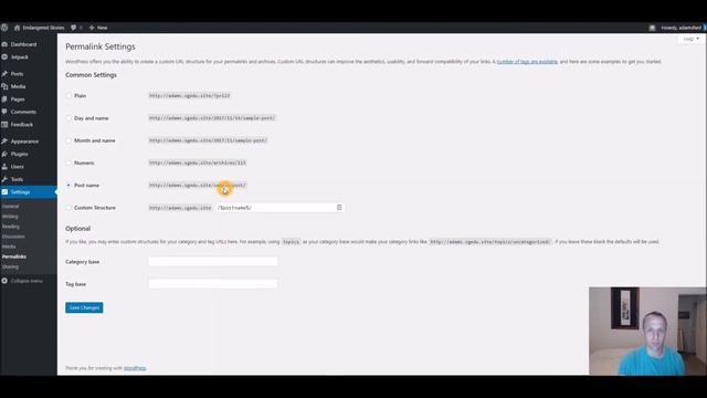 WordPress Permalink Settings Overview and Tutorial смотреть онлайн
