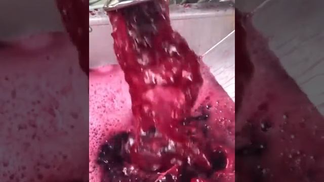 Ферментация виноградного сока смотреть онлайн