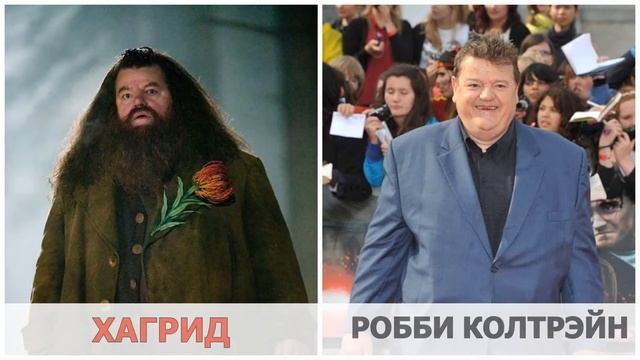 ГАРРИ ПОТТЕР АКТЁРЫ ТОГДА И СЕЙЧАС. КАК ВЫГЛЯДИТ ГАРРИ ПОТТЕР 2021. смотреть онлайн