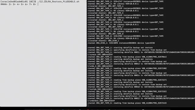 09 ZDLRA RESTORE PLUGGABLE DATABASE SCRIPT смотреть онлайн