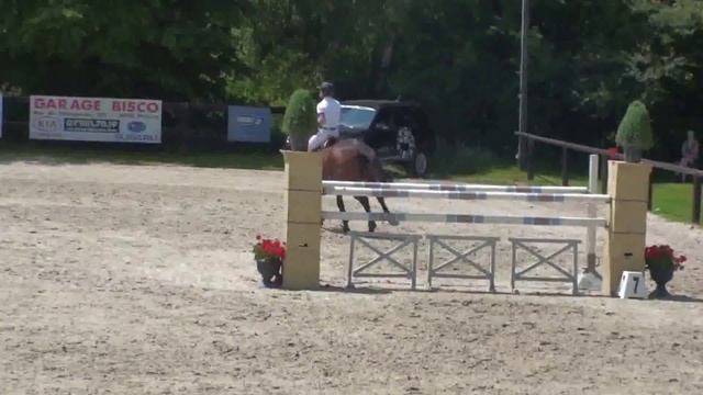 Eranthis Hyémalis Aveline juillet 2013 1m25 смотреть онлайн