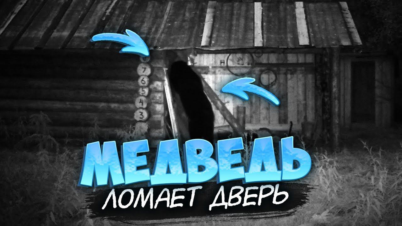Медведь лезет в избу.Подствольный фонарь. Жизнь в тайге. смотреть онлайн