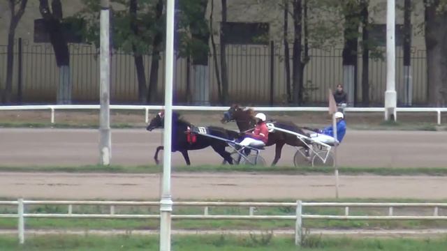 ЦМИ.Бега.30.09.12.Заезд 1(441). За Балканкой не угнаться. смотреть онлайн