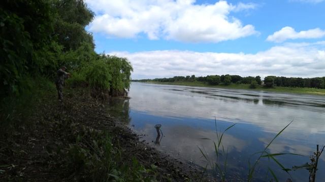 Днестровская рыбалка. Царь рыба Уклейка. смотреть онлайн