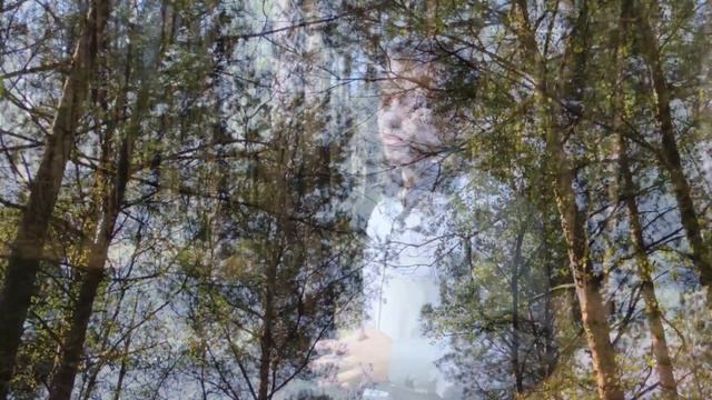Экалагічная сцежка [Экологическая тропа] смотреть онлайн