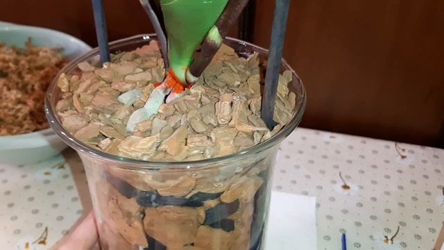 СРОЧНАЯ РЕАНИМАЦИЯ ОРХИДЕИ | Phal. Lady Marmalade смотреть онлайн