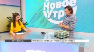 Красноухие черепахи: правда и мифы