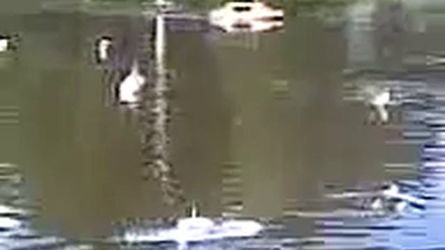 ДОСААФ Школа Мастерства, Мужиства и Патриотизма смотреть онлайн