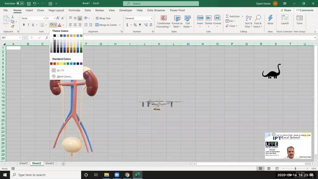 Basic Excel - Handle table and Picture смотреть онлайн