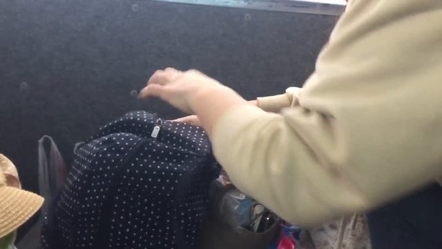 Двое суток в пути. Реборн едет в Крым. Путешествие в Крым в миниавтобусе. смотреть онлайн