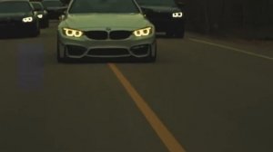 Andrey Toronto-Стая[unofficial video]