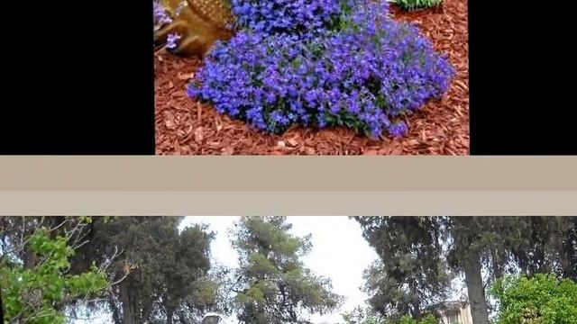 Интересные идеи как использовать кувшин в дизайне сада смотреть онлайн