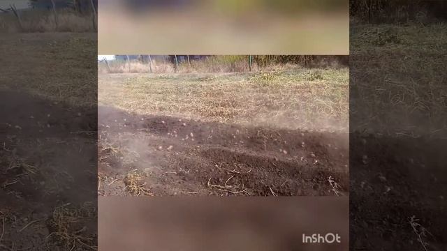 Как быстро вы копать картошку смотреть онлайн