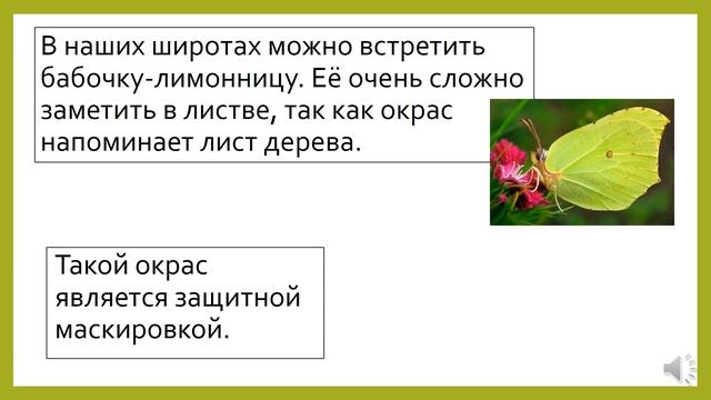 2 класс Урок Смысл предложения смотреть онлайн