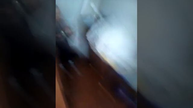 Топ 5 факторы если ваш кот пытается вас убить смотреть онлайн