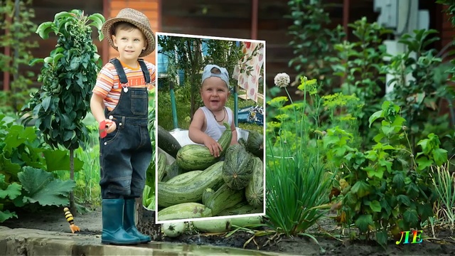 Урожай собирай!