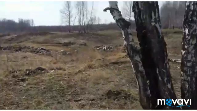 05.05.19 г день 4-ый Свалке нет!!! в Чалтаке с. Кыштовка ☘️ Приходите в любое время помогать сами! смотреть онлайн