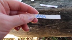 ПРОПАЛ КОТ КЕВИН на ПЛЯЖЕ во время ПРЯТОК!