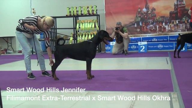 купляускас black females смотреть онлайн