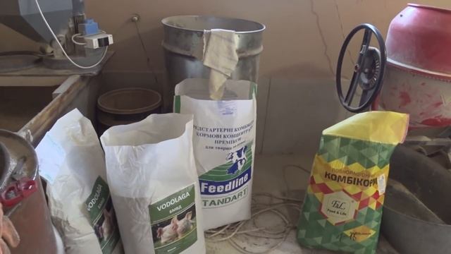 Продал всех троих, сколько получилось???,чем кормлю смотреть онлайн