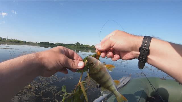 Ловля на попер смотреть онлайн
