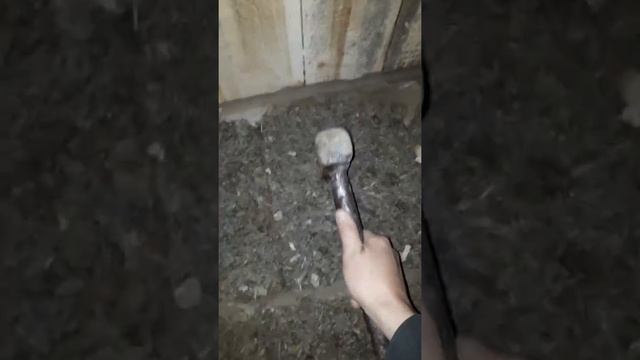 Овощная яма смотреть онлайн