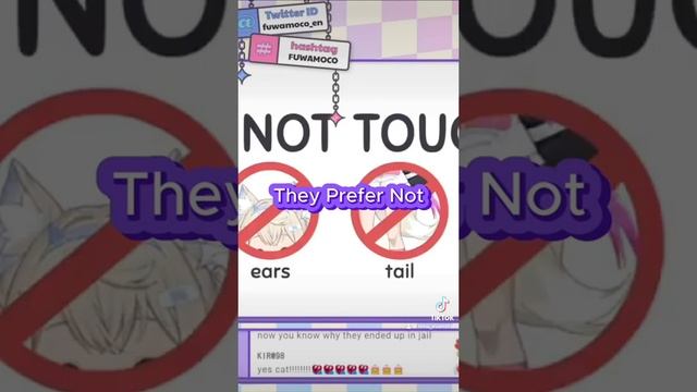 Find out what the #fuwamoco twins like & dislikes #dogs #dogvtuber #vtuber #holoadvent #hololive смотреть онлайн