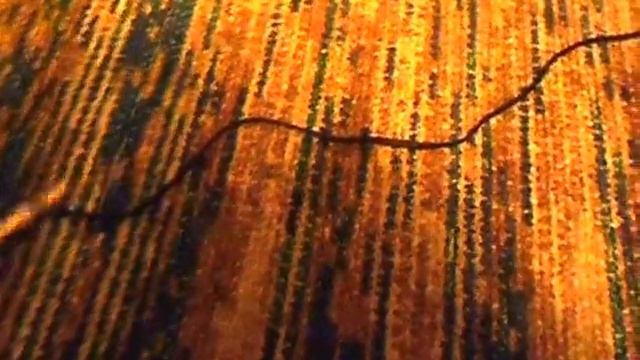 #1 Обзор наушников SmartBuy смотреть онлайн