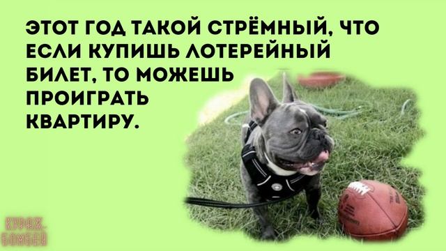 Анекдот в картинках #353 от КУРАЖ БОМБЕЙ: от гроба отказалась сразу, нравятся худенькие и кулинария смотреть онлайн